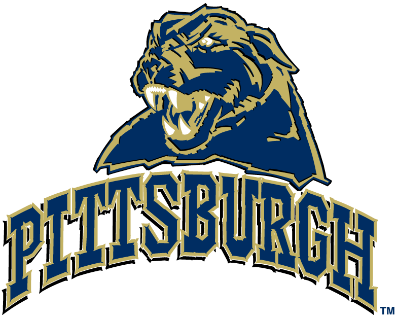 Pittsburgh Panthers 2005-2015 Alternate Logo diy iron on heat transfer...